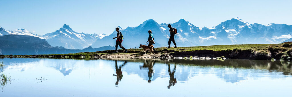 Drei Wanderer mit Hund spiegeln sich in einem ruhigen Bergsee.