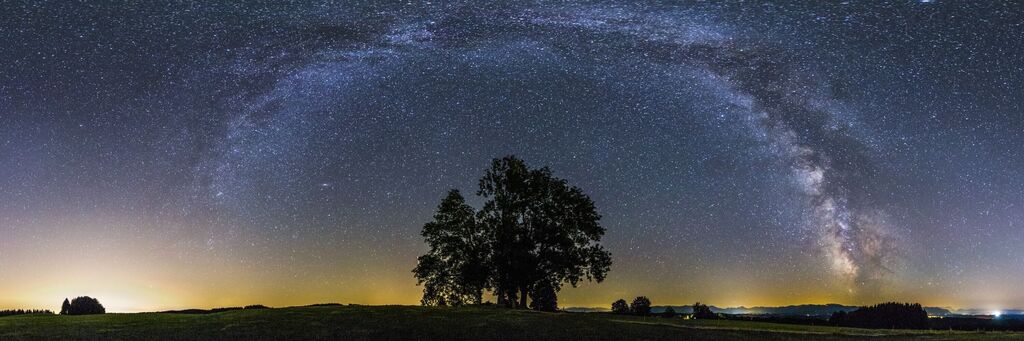 Große Bäume auf einer Wiese unter dem leuchtenden Sternenhimmel mit Milchstraße
