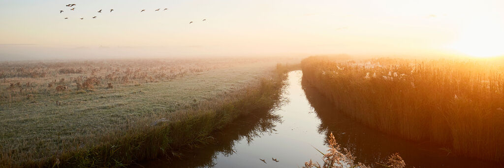 Flusslandschaft im Morgennebel mit sanften Lichtstrahlen der aufgehenden Sonne, Vögel ziehen über den Himmel.