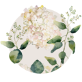 Wunderschöne Aquarellillustration von blühenden Pflanzen mit zarten Farben