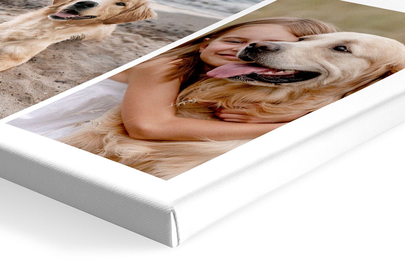 Ein Mädchen umarmt einen Golden Retriever, beide lächeln glücklich.