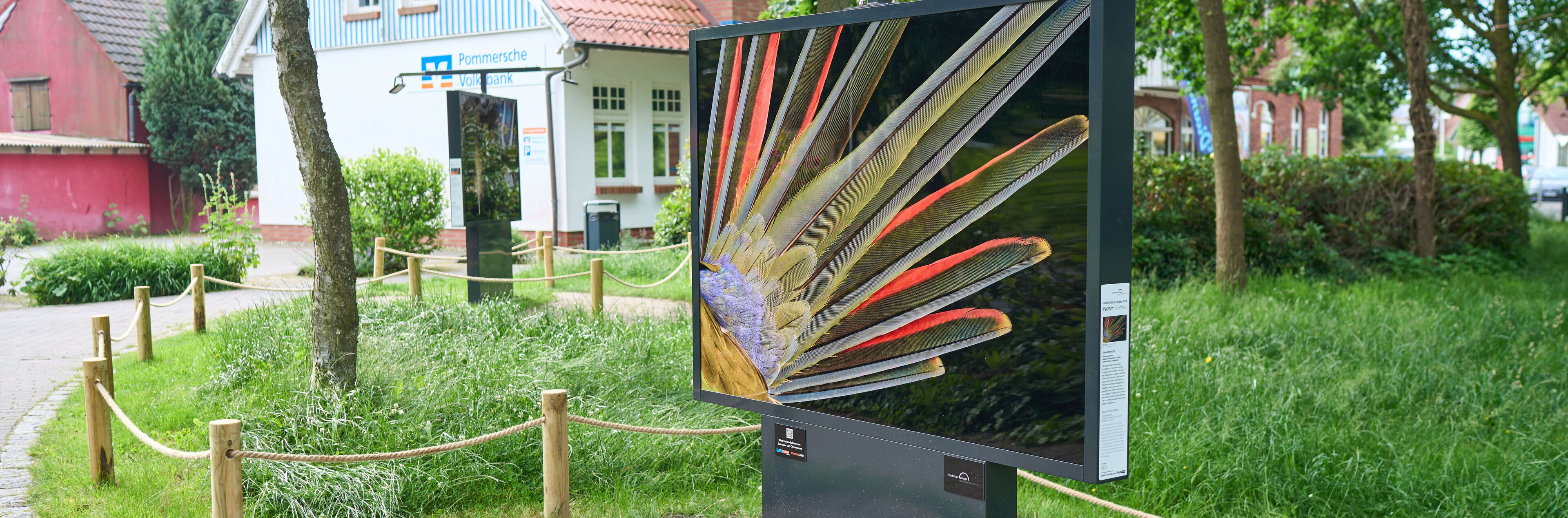 In einer grün bewachsenen Umgebung ist eine Fotografie ausgestellt, die die Federn eines Vogels zeigt.