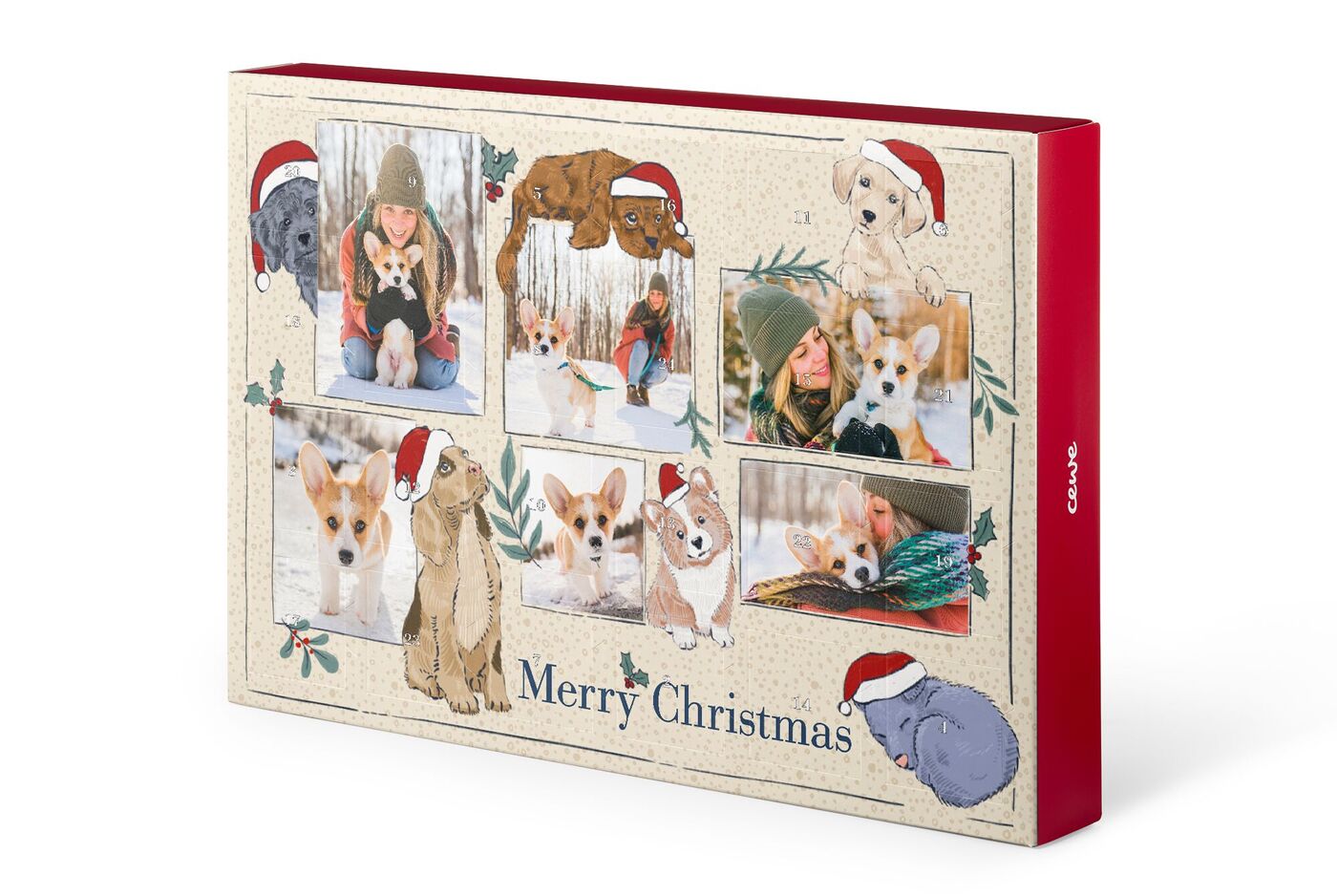 Ein fröhliches Weihnachtsgeschenk mit Corgis und einer Frau, die eine Mütze trägt und umgeben von festlichem Dekor.