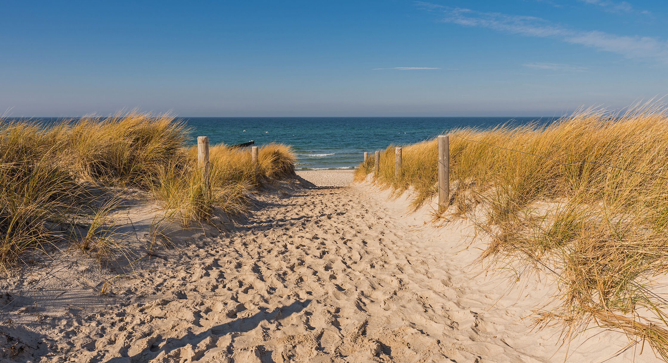 Ein wunderschöner Weg zum Strand, umgeben von sanften Sanddünen und Gras.