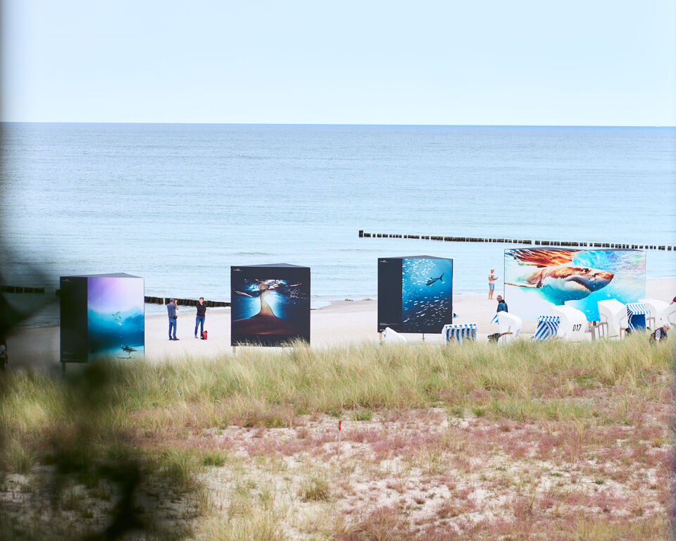 Eine Fotoausstellung erstreckt sich über einen Ostseestrand.