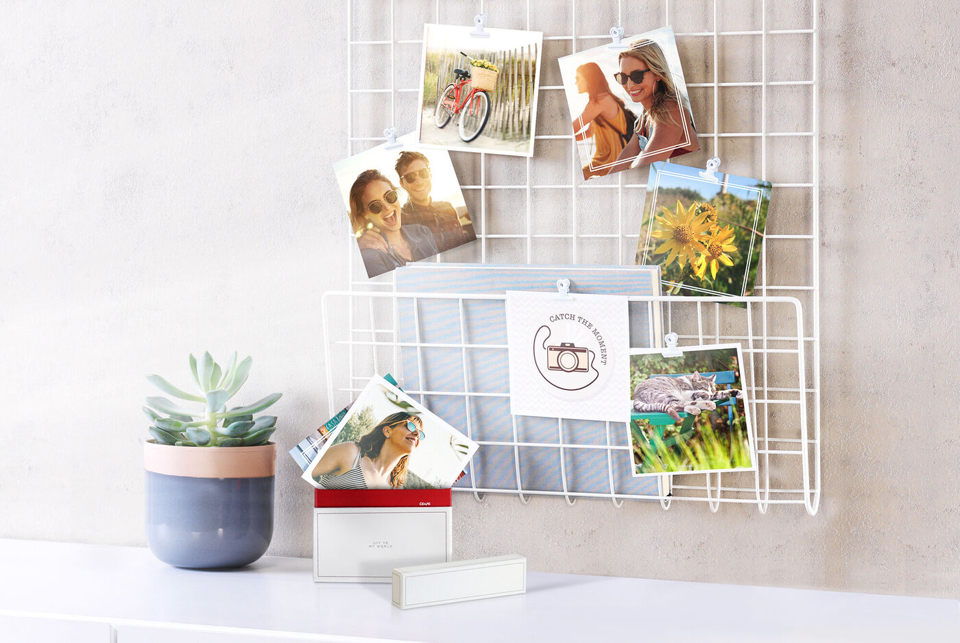 Ein kreatives Arrangement von Fotodrucken auf einem weißen Gitter. Ein Topf mit einer Pflanze steht daneben, und einen CEWE Fotokalender sieht man im Vordergrund. Die Bilder zeigen Erinnerungen und besondere Momente.