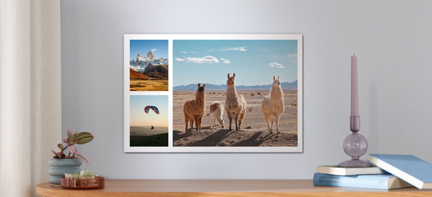 Drei Lamas stehen gesellig in einer Wüstenlandschaft, umgeben von Bergpanorama und einem bunten Gleitschirm im Hintergrund. CEWE Wandbild