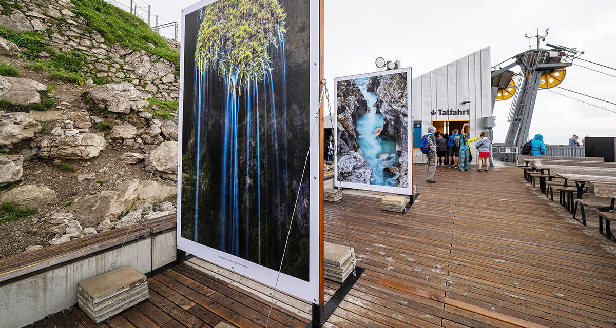 Auf einer Holzterrasse sind zwei große Leinwände mit verschiedenen Fotomotiven aufgestellt.