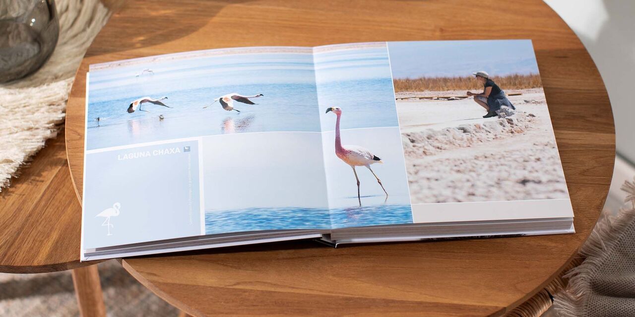 Offenes CEWE Fotobuch auf einem Tisch mit Bildern von Flamingos und einem Fotografen am Strand