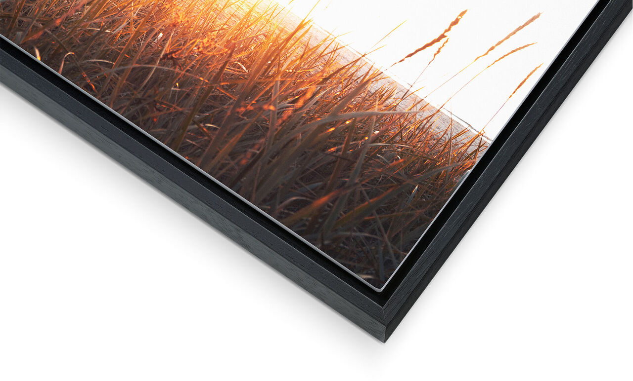 Detailansicht eines Wandbildes mit Sonnenstrahlen und Gras.