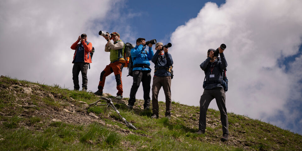 Fünf Fotografen stehen auf einem Hügel und fotografieren die Landschaft.