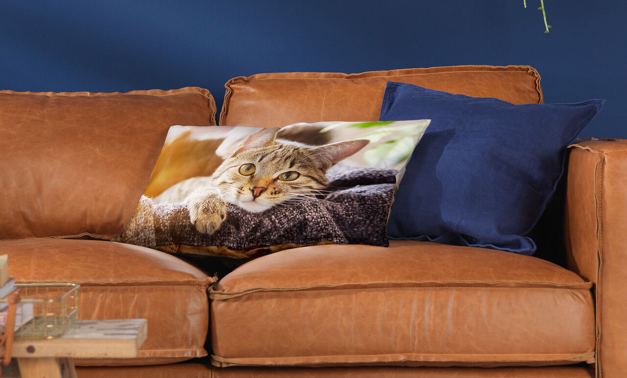 Gemütliches Wohnzimmer mit einer braunen Ledercouch, auf der ein Kissen mit einem Katzengesicht liegt