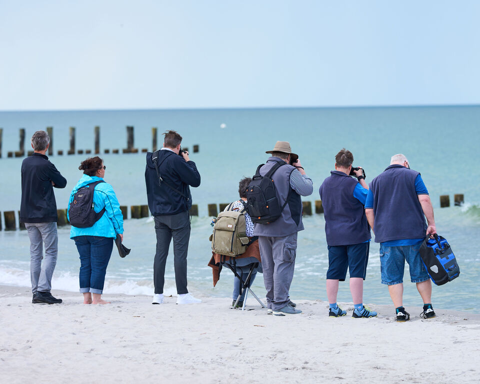 Eine Gruppe von Fotografen steht am Strand und fotografiert das Meer.