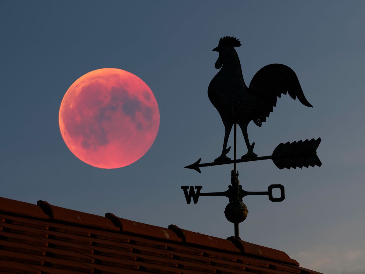 Roter Vollmond neben Wetterhahn auf Dach in der Abenddämmerung