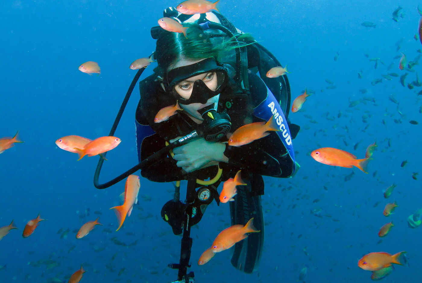 Taucherin unter Wasser umgeben von bunten Fischen