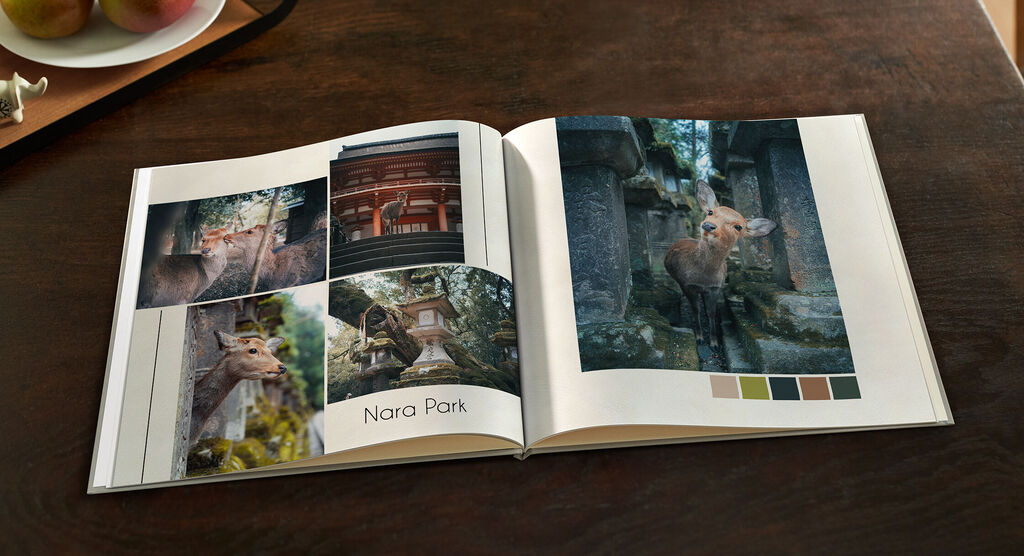 Ein geöffnetes Fotobuch zeigt schöne Fotografien vom Nara Park, darunter Rehe und historische Stätten.