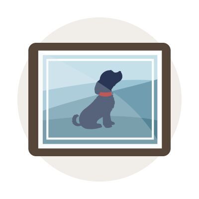 Ein schwarzer Hund in einem Rahmen, sitzt seelenruhig und schaut nach oben