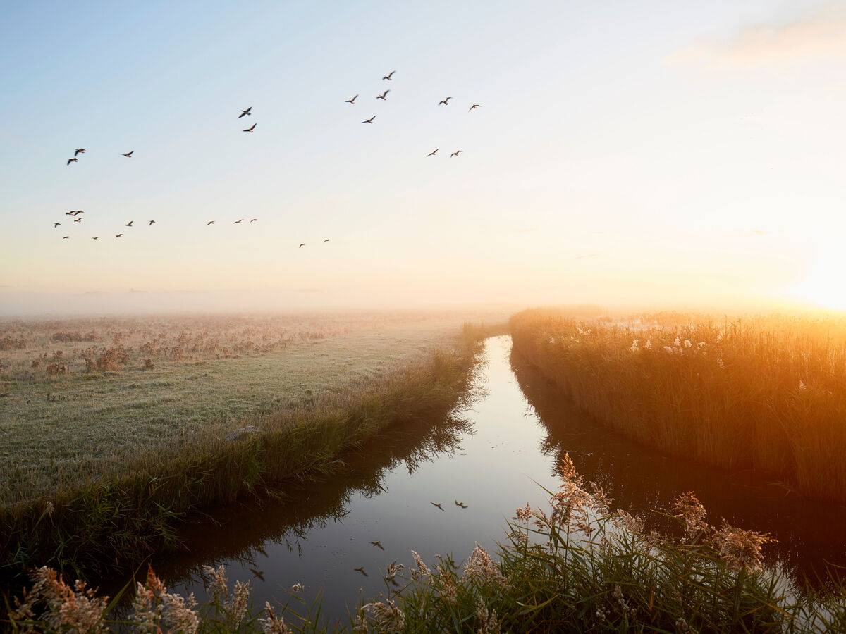 Flusslandschaft im Morgennebel mit sanften Lichtstrahlen der aufgehenden Sonne, Vögel ziehen über den Himmel.