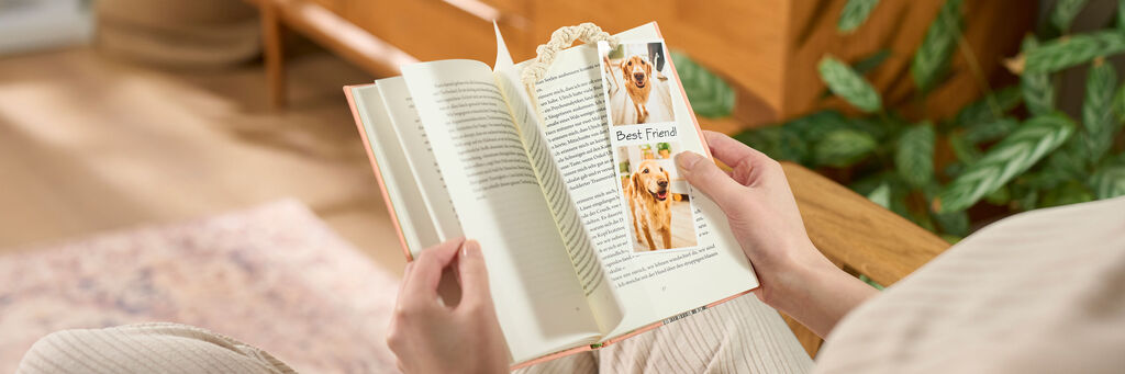 Eine Person blättert in einem Fotobuch mit Bildern von einem Hund.
