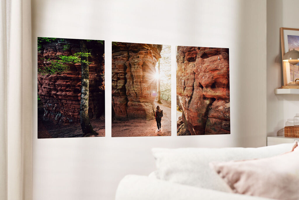 Drei Bilder im Wohnzimmer an der Wand mit Naturmotiven und Sonnenstrahlen