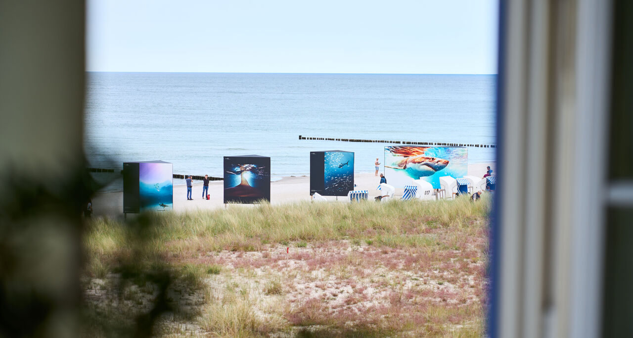 Eine Fotoausstellung erstreckt sich über einen Ostseestrand.
