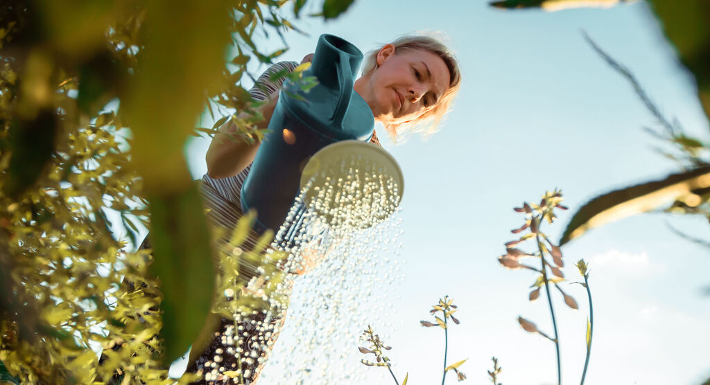 Eine Person gießt mit einer Gießkanne Pflanzen im Garten